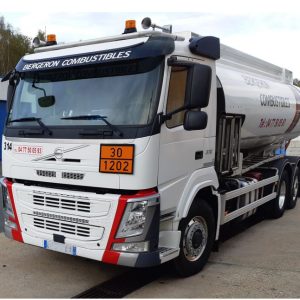 Camion rica